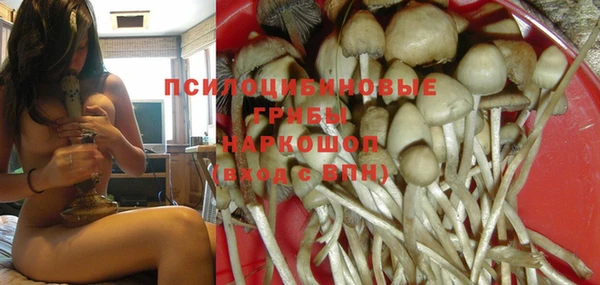 кристаллы Краснослободск