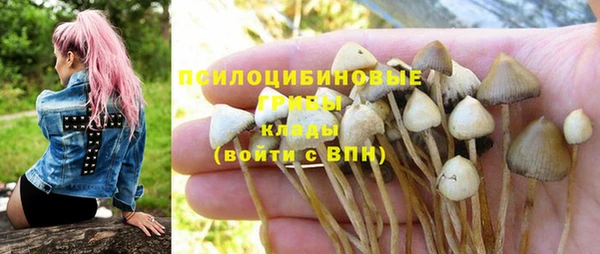мескалин Красноперекопск