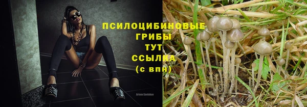 кристаллы Краснослободск