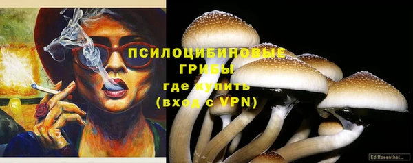 кристаллы Краснослободск