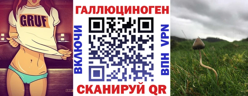 Купить где  Северо-Курильск  Галлюциногенные грибы Psilocybine cubensis 
